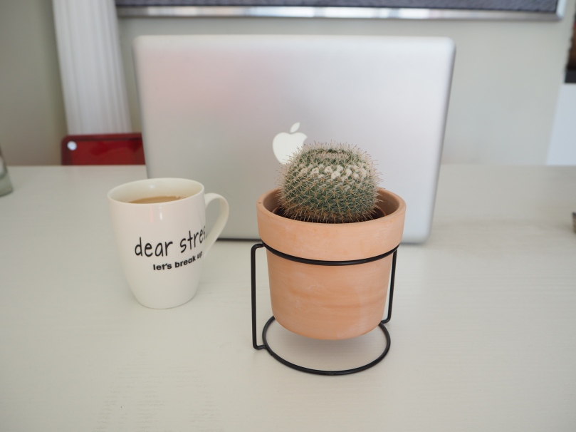 cactus and coffee